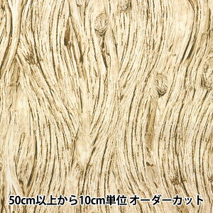 y5z n wUSARbg  28113-Ex