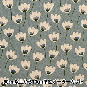 y5z n wȖLoXvg ԕ u[O[ R6501-Fx