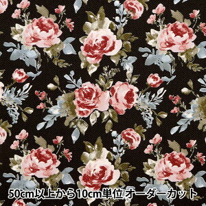 y5z n wcCvg ʃ^b` o ubN×sN KTS6920-Ex COTTON KOBAYASHI Rbg΂₵ ё@