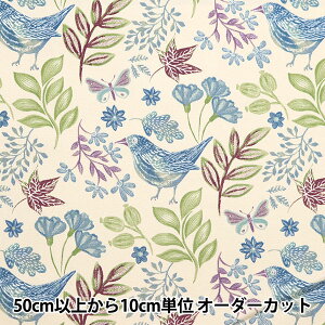 y5z n wcCvg Ƃ傤 u[ KTS6953-Bx COTTON KOBAYASHI Rbg΂₵ ё@