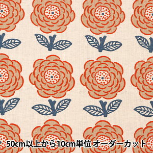 y5z n wȖLoX ||[Y UP5800-Ax COTTON KOBAYASHI Rbg΂₵ ё@