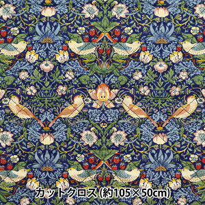 n wV&A V[`OLgJbgNX 105cm×50cm D_ CQ-VA10001-Ax