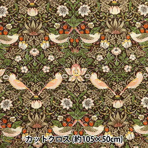 n wV&A V[`OLgJbgNX 105cm×50cm D_ CQ-VA10001-Dx