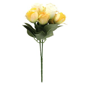 ���� �V���N�t�����[ �w���[�Y�u�b�V��×3(9F) �C�G���[ F5035-004�x