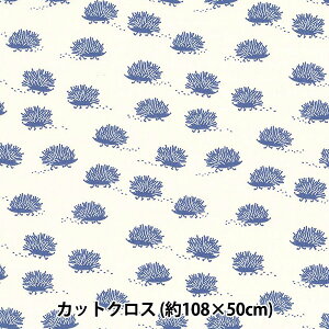 n wkippis (LbsX) V[`O JbgNX 108×50cm ͂˂݂ AC{[ KPSK-27Cx
