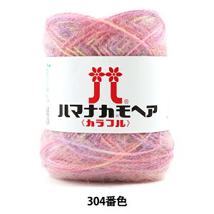 H~ю wn}iJ wA Jt 304ԐFx Hamanaka n}iJ