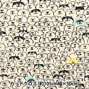 n wIbNXLg JbgNX 105cm×50cm ΂΂ ނ낾炯 Li CQSBFO-04Ax
