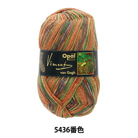 ソックヤーン 毛糸 『Van Gogh (ヴァン・ゴッホ) 4ply 5436番色』 Opal オパール