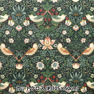 n wV&A V[`O~l[gJbgNX 105cm×50cm D_ C-R-VA10001-Bx