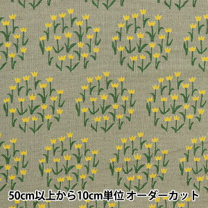 y5z n wȖLoX t[T[N O[×CG[ KTS6873-Cx COTTON KOBAYASHI Rbg΂₵ ё@