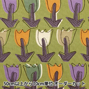 y5z n wȖLoX g`[bv CG[ KTS6927-Cx COTTON KOBAYASHI Rbg΂₵ ё@