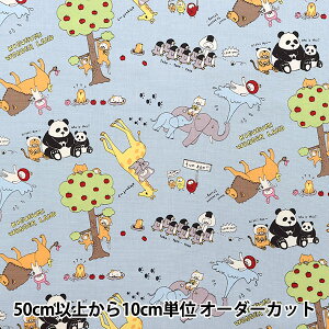 y5z n wRbgLoX ݃_[h F KTS6928-Cx COTTON KOBAYASHI Rbg΂₵ ё@