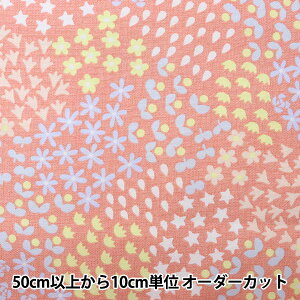 y5z n wNINA(j[i) 16ԃIbNX ԕ sN 142-1270-A2x