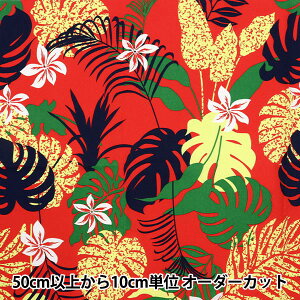 y5z n wT/C nCAvg Xe bh 142-1299-B4x