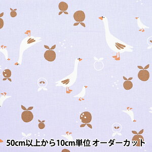 y5z n wDOMOTEX ȃvg U邠Ђ DOMO-CPT12x