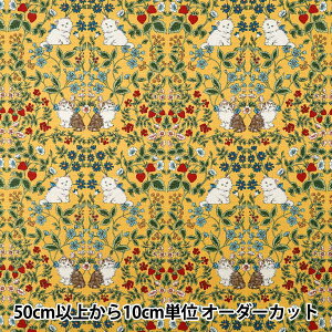 y5z n w10ԃIbNX LbgK[f }X^[h R9014-1Bx