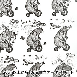 y5z n wAgGRR V[`Ov~A OփxA[ zCg 142-1279-B1x