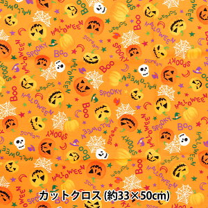 n wpb`[N JbgNX 33cm×50cm J{` IW C-7112-1Ax