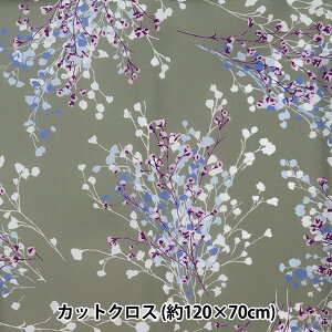 n w|GXe^t^ RہEH 120×70cm JbgNX GY 155-9036-B2x