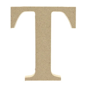 �؂蕶�� �w�A���t�@�x�b�g���^�[ T EE1-5069�x