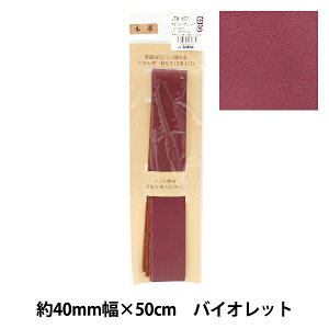 ΂ޗ w\tgU[v  2{ oCIbg #810 JTM-K57x