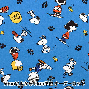 y5z n wIbNX Xk[s[ pEpbh u[ 804220x