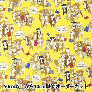 y5z n wIbNX GYUGYUAj} ̂ڂVo CG[ YKA-81040-2Cx KOKKA RbJ