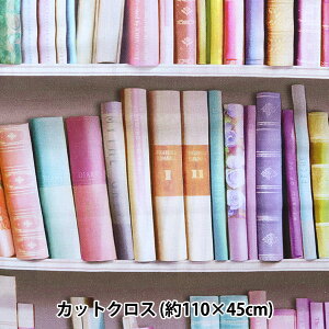 n wV[`O CNWFbgvg JbgNX 110cm×45cm {I sN LGA-41100-2Ax KOKKA RbJ