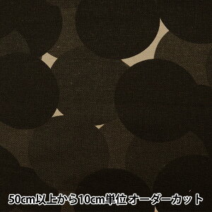 y5z n w[LoX 􉽊wDOT `R[ NFA60380-381Dx KOKKA RbJ