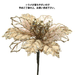  VNt[ w|CZ`AsbN x[W AX60249-008x asca AXJ