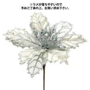  VNt[ w|CZ`AsbN zCg AX60249-001x asca AXJ