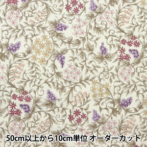 y5z n w60[ }`K[f @C sNx[W 60LA-MG123-7Cx