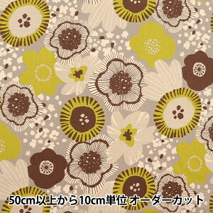 y5z n wȖV[`O CNXJ[g ԕ O[ YKA-96040-1Cx KOKKA RbJ