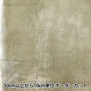 y5z n wijC w{ CGX!^u[ EGX-11310-1Cx KOKKA RbJ