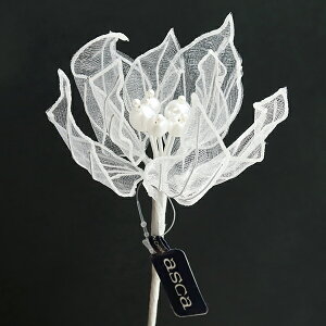  VNt[ wS.VtH|CZ`A AX60172x asca AXJ