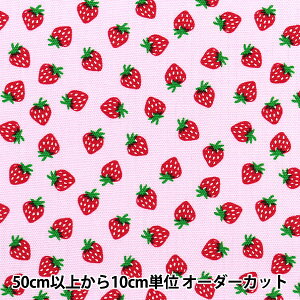 y5z n wIbNX C`S sN SHF-04Px
