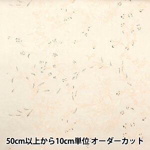 y5z n wijC I[KjbN[ R}CJC EGX-11291-1Bx KOKKA RbJ