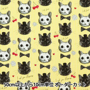 �y����5����z ���n �w�I�b�N�X patch work animals �l�R&�`�F���[ �C�G���[ LOA-61030-2B�x KOKKA �R�b�J