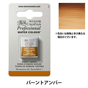 絵具 『プロフェッショナル ウォーターカラー ハーフパン 076 バーントアンバー 3102076』 Winsor&Newton