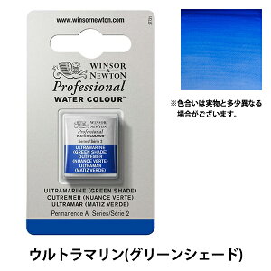 絵具 『プロフェッショナル ウォーターカラー ハーフパン 667 ウルトラマリングリーンシェード 3102667』 Winsor&Newton