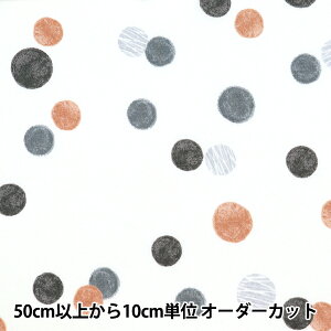 y5z n w60[ Neo Classic hbg2 zCg YQA-96010-2Ax KOKKA RbJ