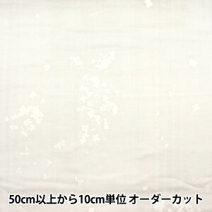 y5z n wijC WK[[ F EGX-11280-1Bx KOKKA RbJ