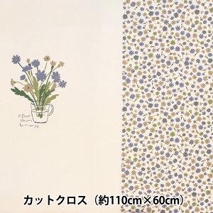 n w`AG[Vi IbNX ԕr×ԃpl JbgNX (110cm×60cm) u[O[ C142-1275-B3x