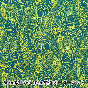 y5z n wT/C nCAvg Xe u[×CG[ 205042-13x