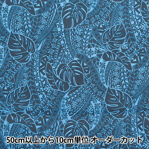 y5z n wT/C nCAvg Xe ubN×u[ 205042-14x