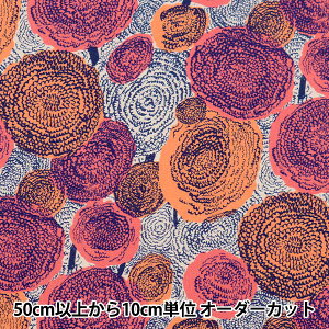 y5z n wkippis (LbsX) IbNX xxbg̉ sN KPO-70Bx