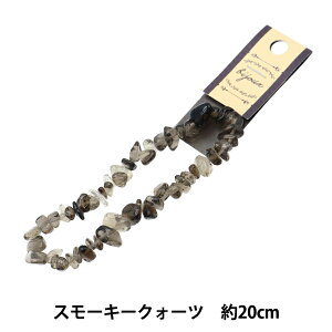 r[Y wVR΂ X[L[Q 20cm YT0905x