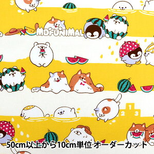 y5z n wIbNX MOFUNIMAL T}[^C CG[ YPA-21000-2Dx KOKKA RbJ