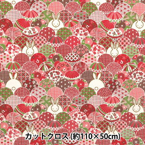 n wV[`O { JbgNX 110×50cm bh C-ACS1109-Bx