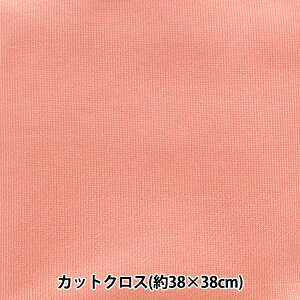 n wȐÊȐn X[Xjbg 38×38cm n \tgbh TTNM-01x